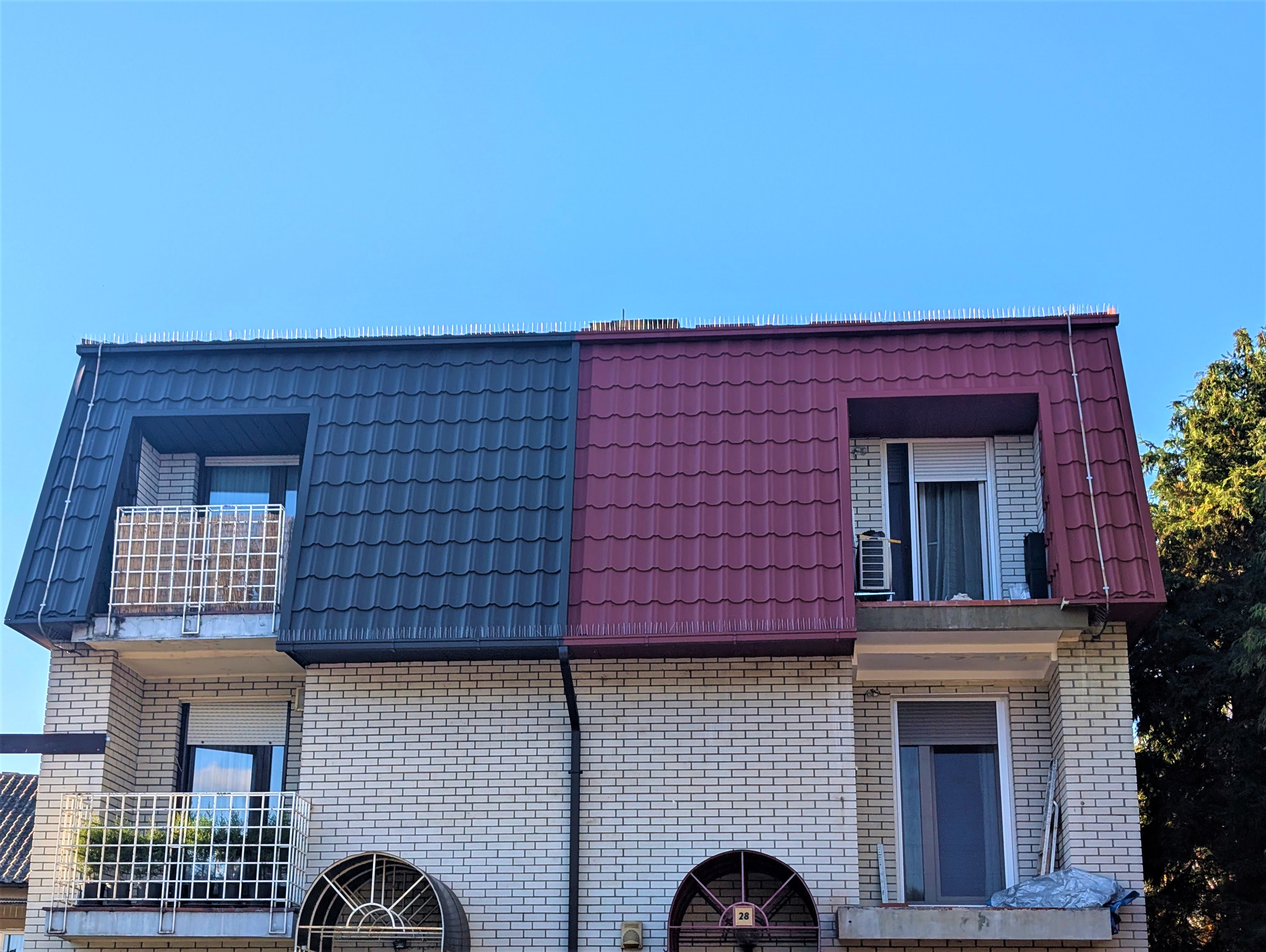 PXL 20241007 142918367.RAW 01.MP.COVER